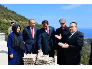 Dokap Bölgesi Organik Yumurta Tavukçuluğu Projesi Trabzon’da Hayat Buldu
