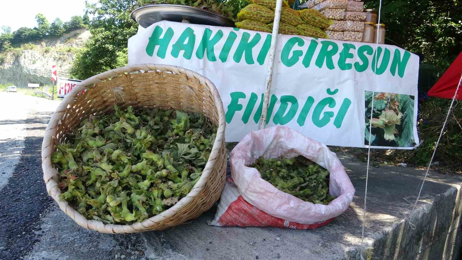 yeni-sezonun-ilk-findigi-tezgahlarda-yesil-kabuklu-findigin-kilosu-200-tl