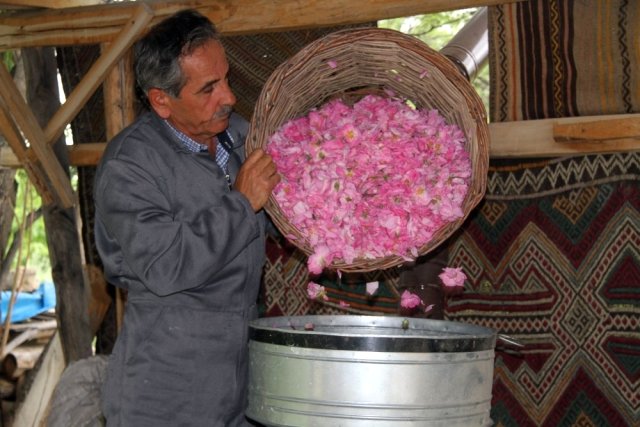 Gramla Satılan Isparta'nın Gülyağı, Altınla Yarışıyor