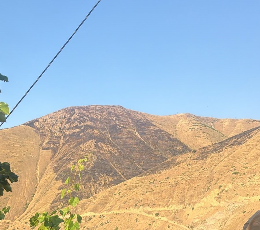 elazig-da-daglik-alanda-cikan-yangin-sonduruldu