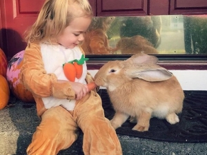 Dev Tavşan İle Küçük Kızın Dostluğu Görenlerin Yüzünü Güldürüyor