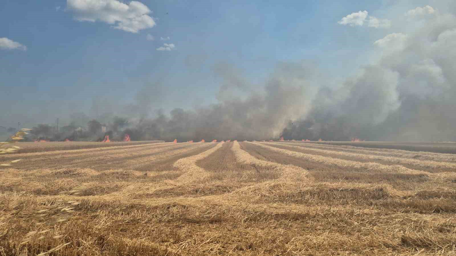 tekirdag-da-2-farkli-noktada-cikan-yangin-sonduruldu-700-donumluk-alan-ve-20-konteyner-kul-oldu
