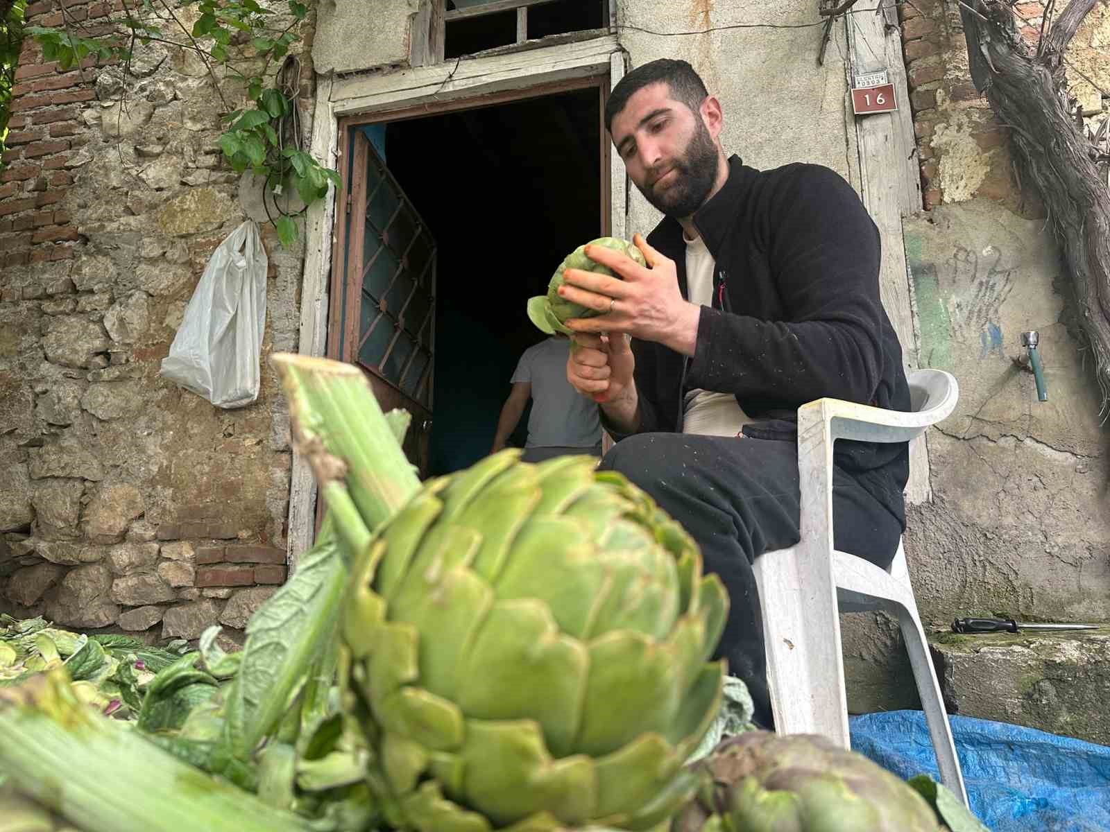 enginar-soyarak-ayda-240-bin-lira-kazaniyor