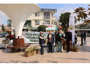 Düzce’de 5 Bin Ücretsiz Fidan Dağıtıldı