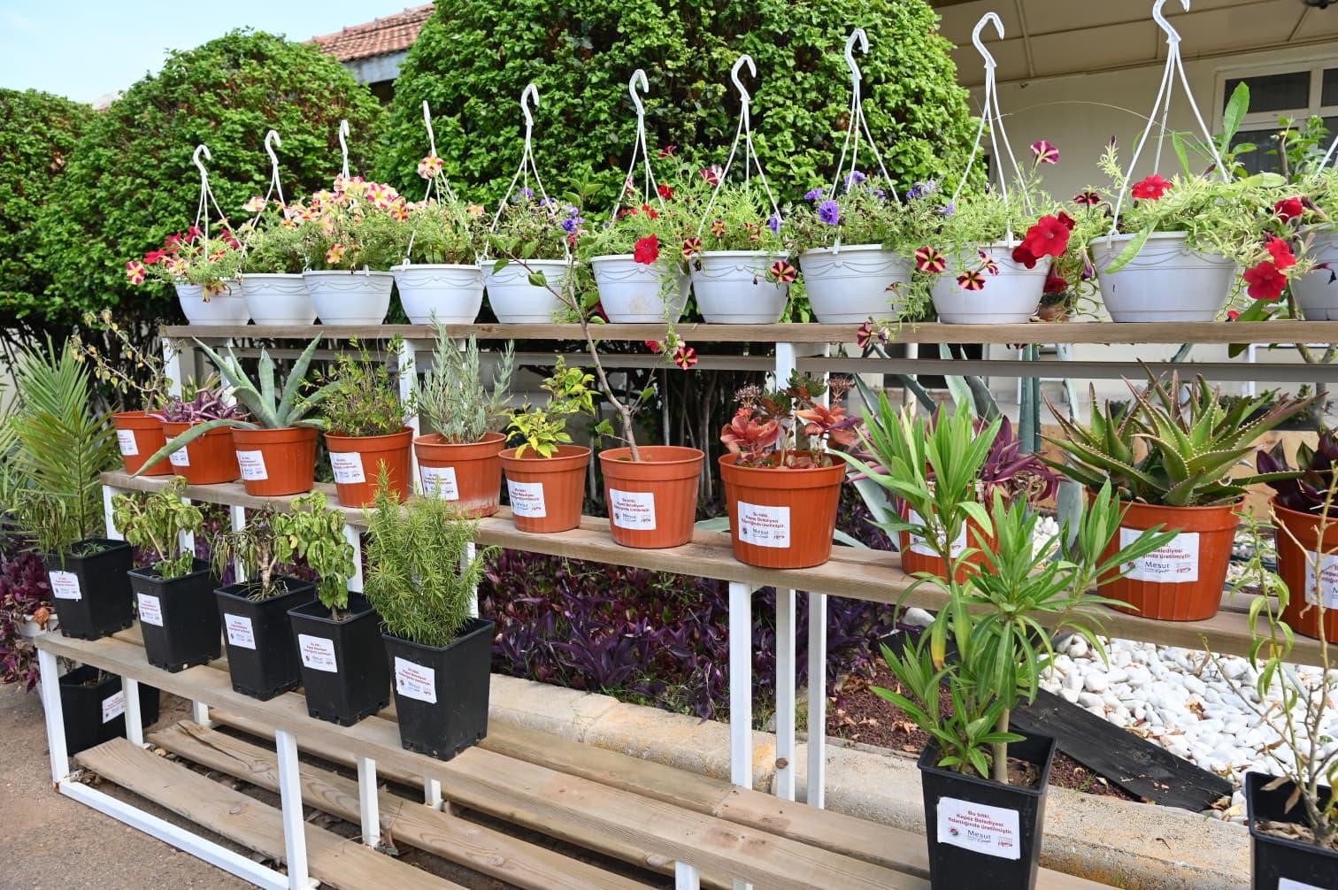 kepez-bahce-market-antalya-nin-hizmetine-aciliyor