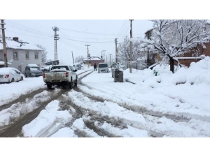 Bingöl’ün İlçeleri Beyaza Büründü