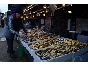 Ne Hamsi Ne Palamut, En Bereketlisi İstavrit