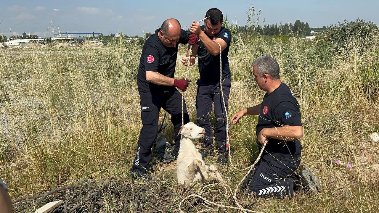 otlarken-kanalizasyon-cukuruna-dusen-oglak-cikardigi-sesle-kurtuldu