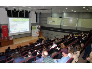 Brexit, Türkiye’ye Yarayacak