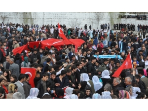 Şırnaklılar Seçimi Ak Partili Adayın Kazanmasını Halaylarla Kutladı