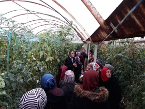 Seracılık Kursiyerlerine Uygulamalı Eğitim