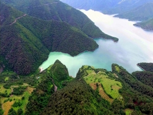 Samsun’da 3,5 Milyondan Fazla Fidan Üretilecek