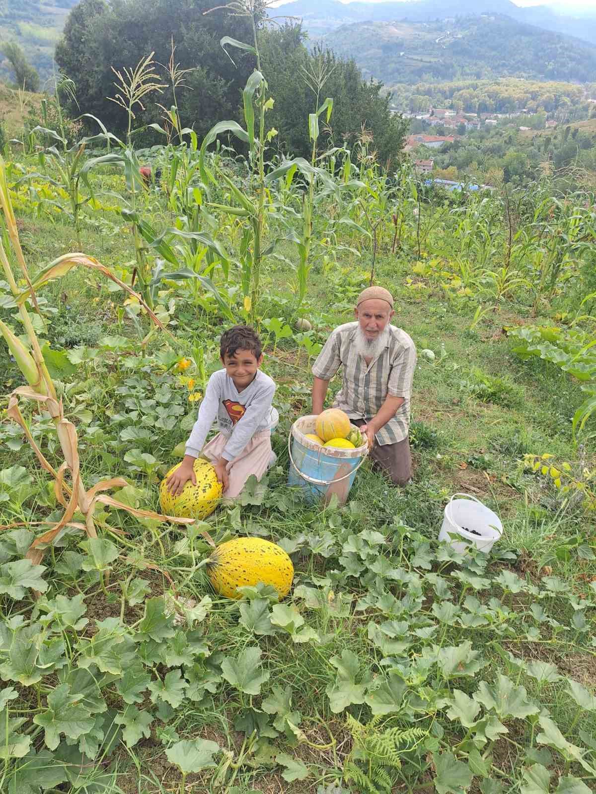 turkeli-de-kucuk-uretim-buyuk-urun-verdi