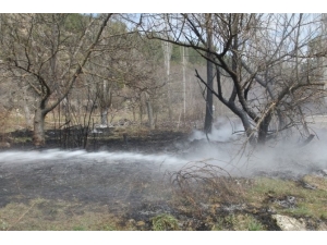 Tarla Temizliğinde Ateş Yakmak Orman Yangınlarına Neden Oluyor