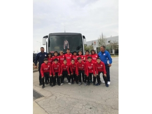 Minik Akrepler Uluslararası Arenada