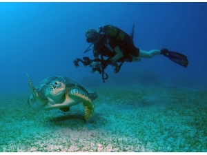 Antalya’nın Su Altı Zenginlikleri Filmine Büyük Ödül