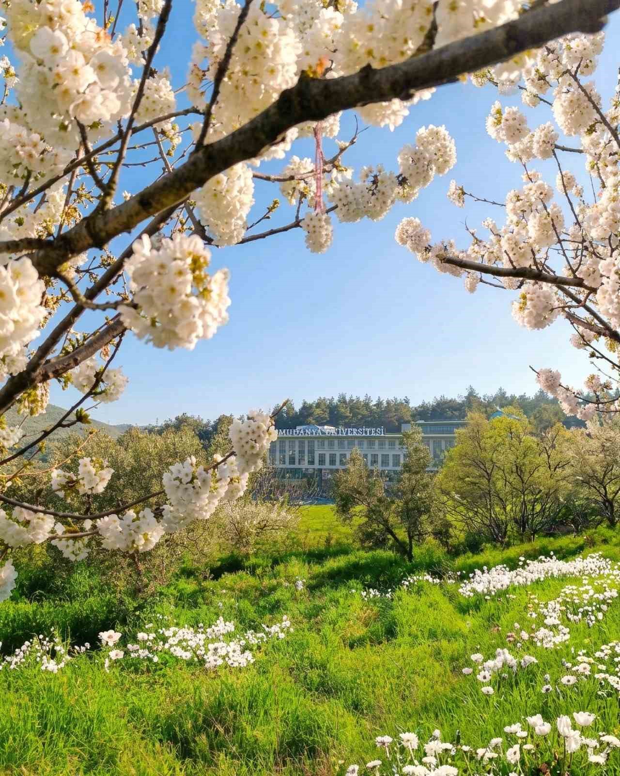 mudanya-universitesi-ne-6-yeni-bolum-daha