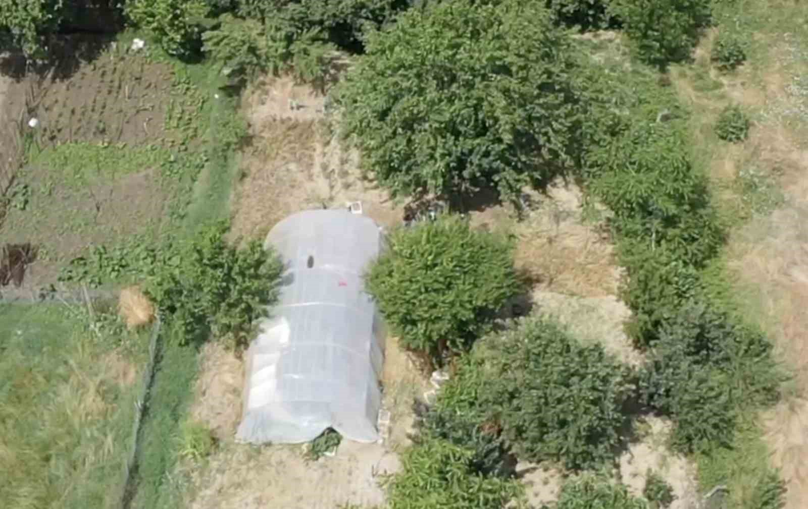 dron-destekli-operasyonda-seraya-gizlenen-hint-kenevirleri-ele-gecirildi