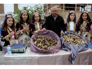 11. Dastar Ve Kuzugöbeği Festivali Renkli Görüntülerle Başladı