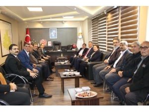 Canpolat, Tebrikleri Kabul Etti