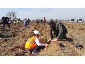Turgutlar Mahallesinde 2 Bin Fidan Toprakla Buluştu