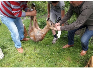 Ordulu Avcılara 22 Bin 488 Lira Ceza