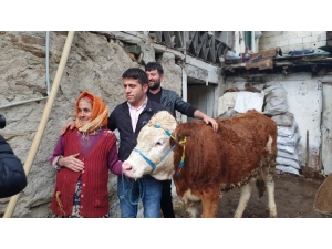 Bir İstedi, Beş İneği Oldu