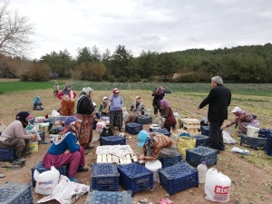 Başkan Şahin Çiftçileri Ziyaret Etti