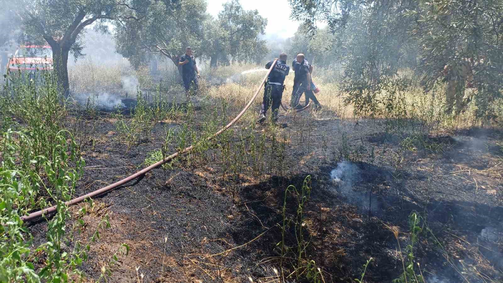 ot-bicerken-zeytinligi-yakti