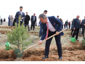 Rektör Bağlı Şehit Polis Memuru Semih Turgut Anısına Fidan Dikti