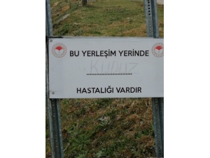 Simav’da Kuduz Karantinası