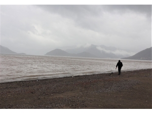 Sahile Gidenler Şaşkına Döndü