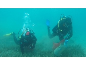 Gölköy’de Deniz Dibi Temizliği