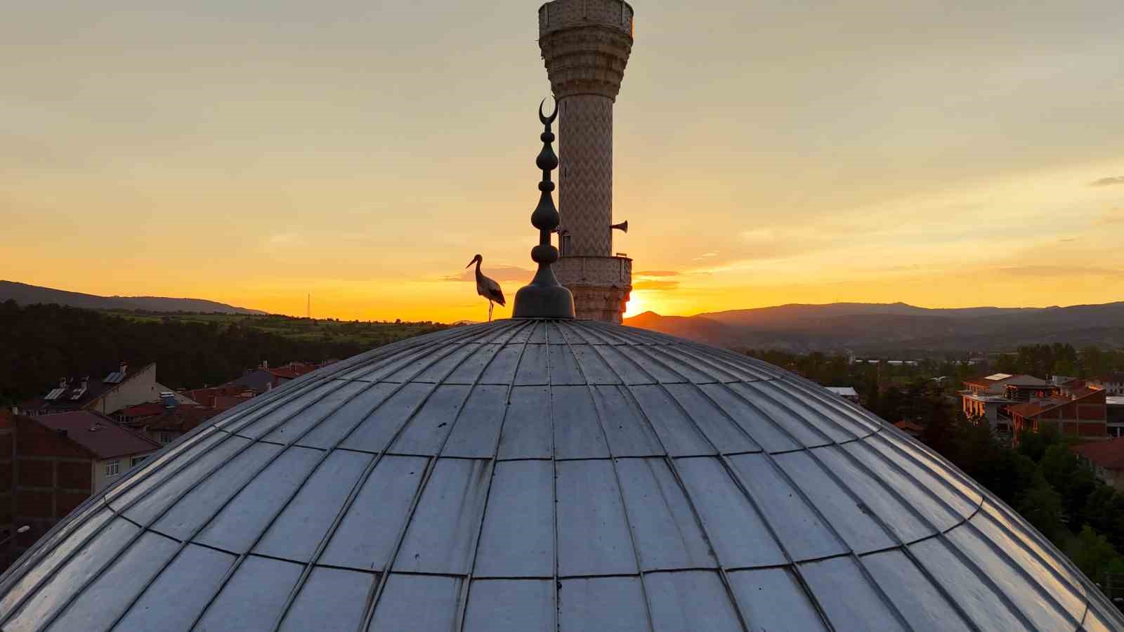 leylekler-gun-batimini-cami-kubbesinde-karsiladi-mest-eden-anlar-havadan-goruntulendi