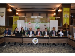 Fındığın Yol Haritası Belirleniyor