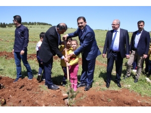 Canpolat Fidan Dikim Etkinliğine Katıldı