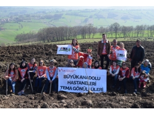 Fidanlar Toprakla Buluşturuldu