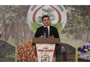 Bakan Pakdemirli: "Fındığın Türkiye’ye Katkısını, 3 Milyar Dolar Olarak Belirledik"
