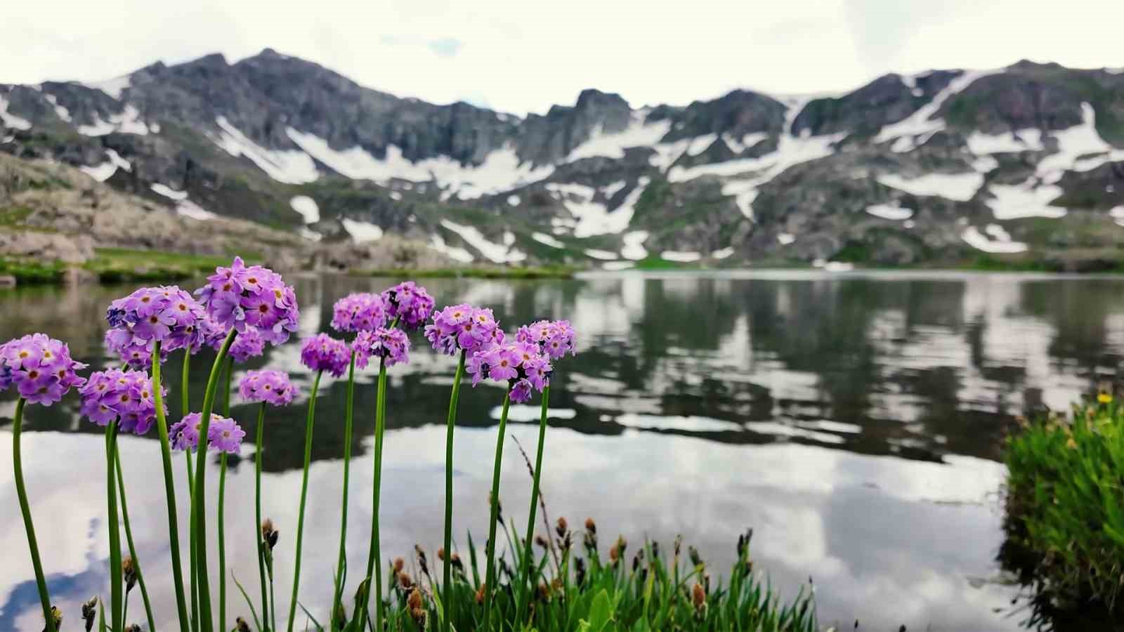 erzurum-da-sakli-bir-guzellik-ispir-yedigoller
