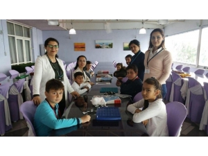 Zeka Oyunları Finalleri Yapıldı