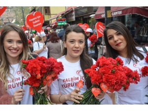 Cadde Boyunca Karanfil Dağıtarak Kalp Sağlığına Dikkat Çektiler
