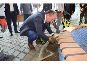 Başkan Akın, Hem Çiçek Ekti Hem De Vatandaşlarla Buluştu
