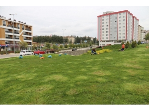 Kilis’te Park Ve Bahçelere Özel Bakım