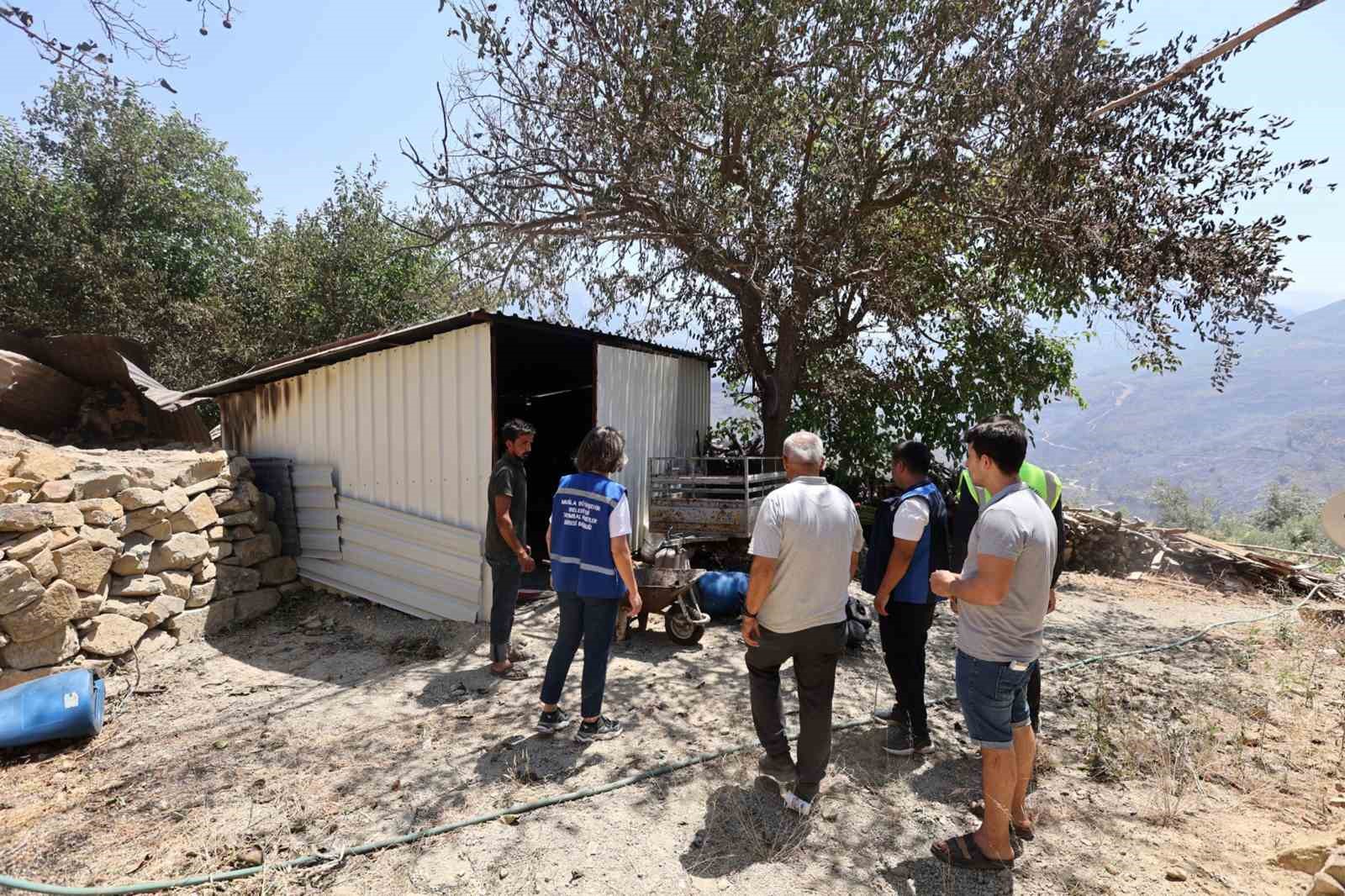 yanginda-zarar-goren-ciftcilere-mugla-buyuksehir-destegi