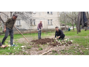 Çukurca’da Tarlalar Ekilmeye Başlandı