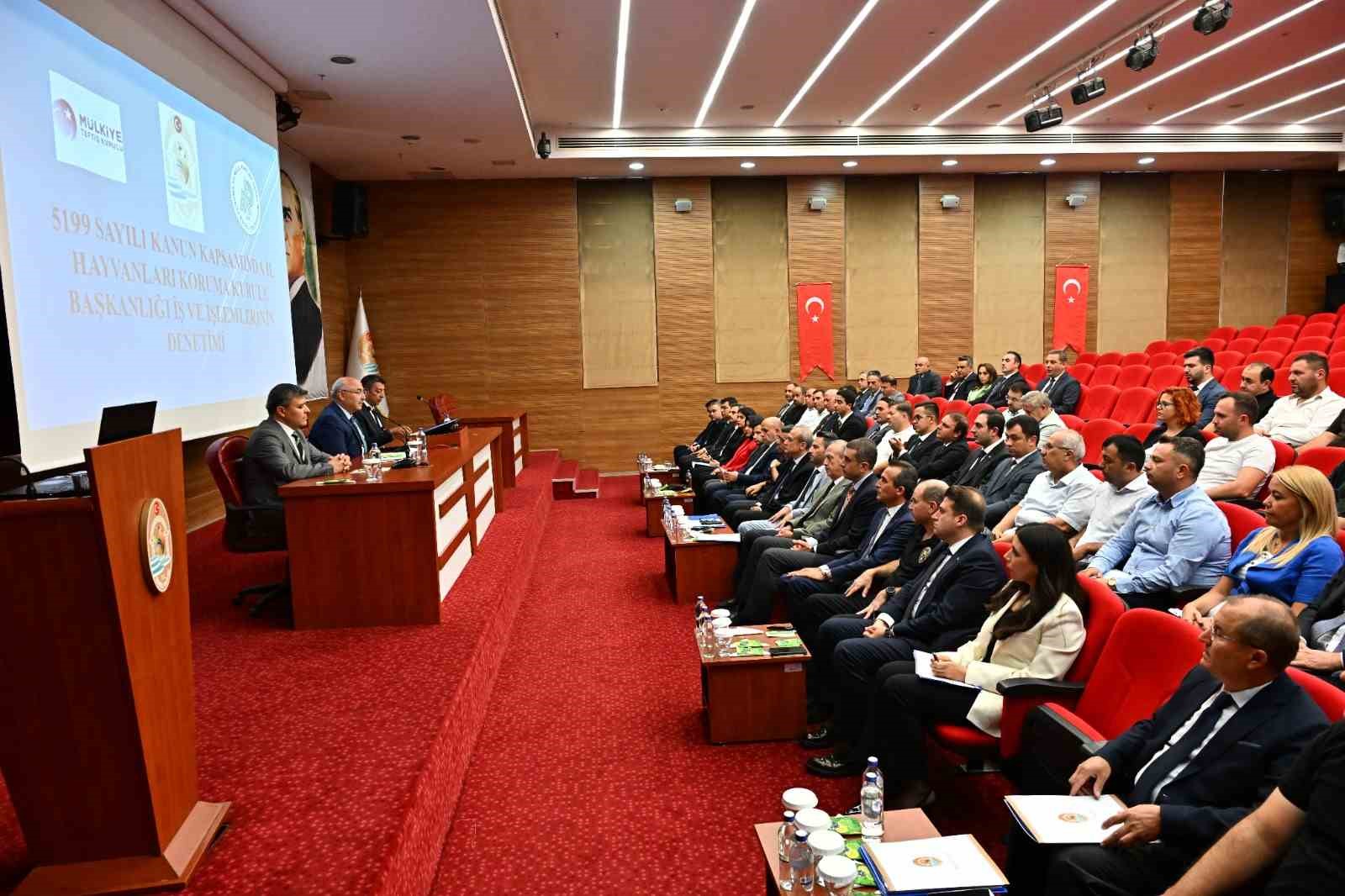 denizli-de-sahipsiz-hayvanlar-icin-kritik-zirve