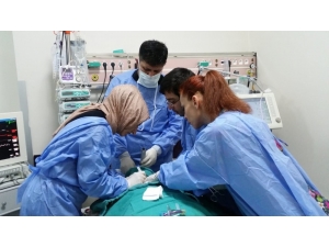 Malatya’da Kapsamlı İnme Merkezi Hizmete Girdi