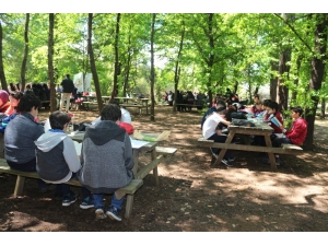 Sığla Ağaçları Altında Kitap Okudular