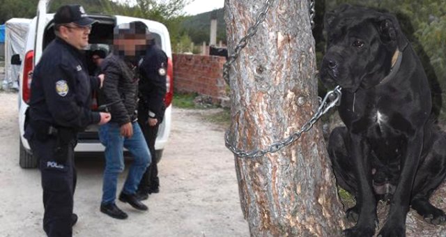 Kütahya'da Köpeğe Tecavüz Ettiği İddia Edilen 2 Kişi Gözaltına Alındı