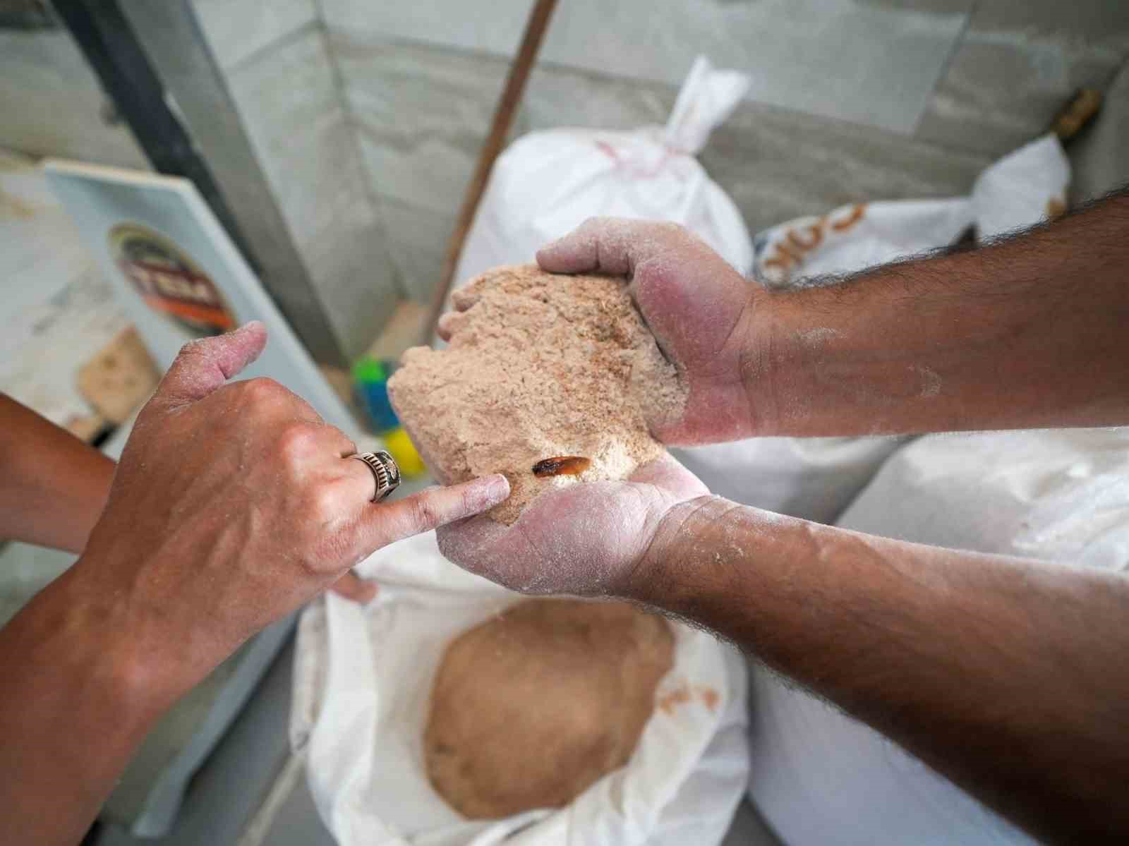 un-fabrikasinda-soke-eden-goruntu-30-ton-boceklenmis-bozuk-un-ele-gecirildi